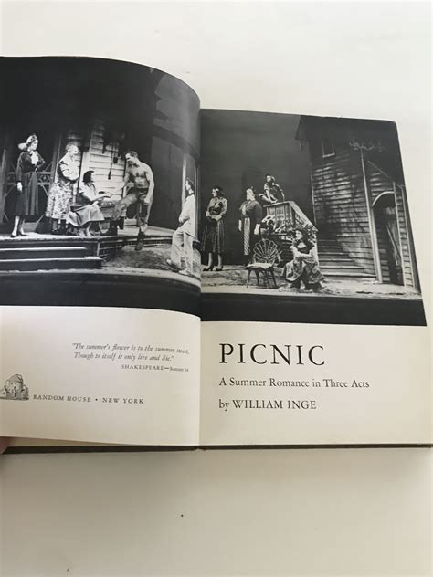 chanel colins picnic|william inge picnic.